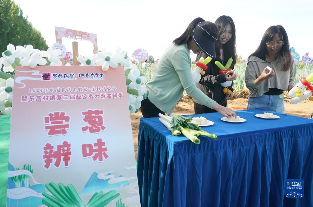 娱乐天地安卓手机登录